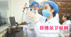 寧波2024年400分能上衛(wèi)校嗎