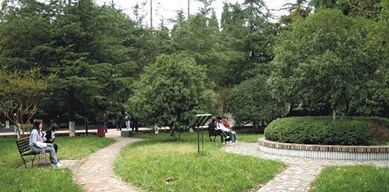 校園環(huán)境