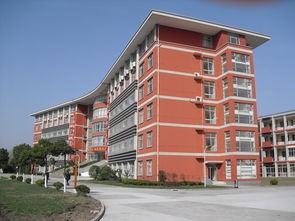  上海震旦職業(yè)學(xué)院招生錄取分數(shù)線