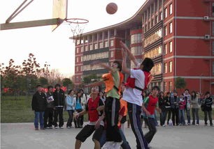  上海震旦職業(yè)學(xué)院全國排名是多少，好不好？