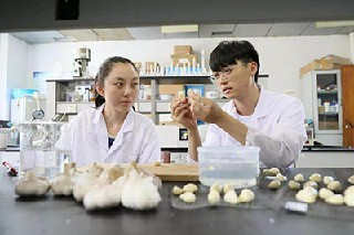 專科中西醫(yī)臨床醫(yī)學就業(yè)分析