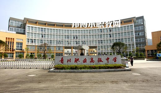 青川縣職業(yè)高級中學(xué)2020年有哪些專業(yè)