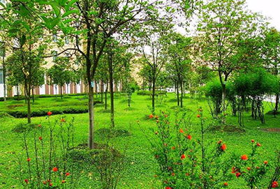  銀川大學(xué)數(shù)控技術(shù)專業(yè)好不好呢