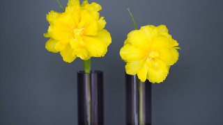 成都實用工程技術(shù)學(xué)校怎么樣？是什么辦學(xué)性質(zhì)？