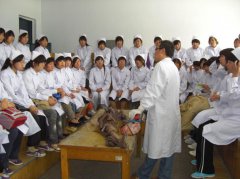  2024年四川省衛(wèi)校的招生條件出來(lái)了