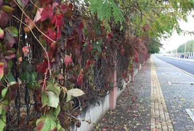  寧夏大學(xué)宿舍條件及圖片