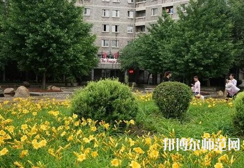 師范網(wǎng)1