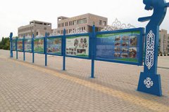 四川省攀枝花衛(wèi)生學院2024年招生分數(shù)線