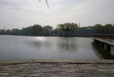  寧夏大學(xué)2019有哪些專業(yè)及什么專業(yè)好