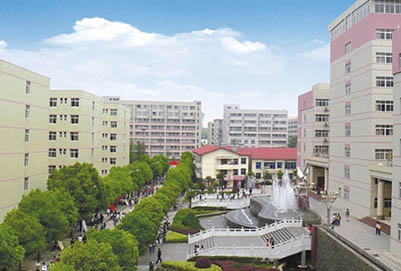  青海大學(xué)醫(yī)學(xué)院2020招生錄取分?jǐn)?shù)線