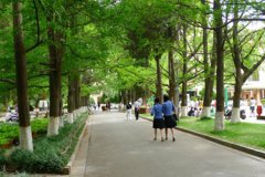 廣安衛(wèi)生學(xué)校二零二零2024年招生簡(jiǎn)章