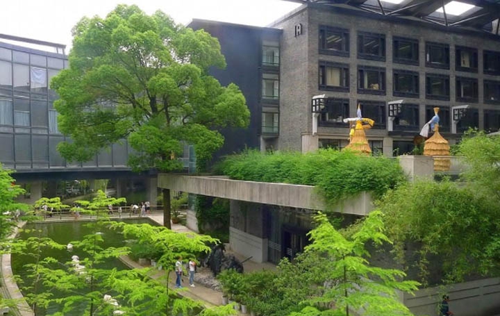  在四川康復(fù)治療專業(yè)工資一般多少