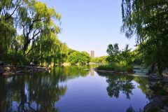 成都鐵路衛(wèi)生學(xué)校單招2024年招生簡(jiǎn)章