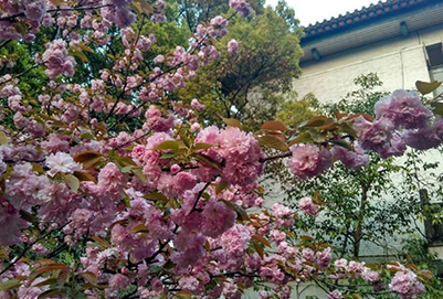  銀川大學2020學費是多少錢及收費標準