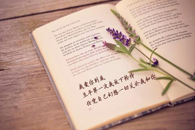 成都師范學(xué)院繼續(xù)教育學(xué)院師資怎樣，就業(yè)怎么樣
