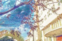 成都商洛衛(wèi)生學(xué)校2024年分數(shù)線多少