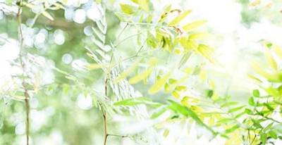  四川省成都市青蘇職業(yè)中專學(xué)校是民辦學(xué)校還是公辦學(xué)校？