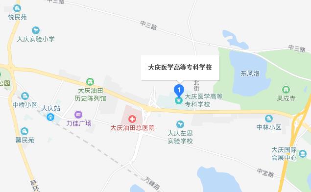 大慶醫(yī)學高等?？茖W校地址在哪里