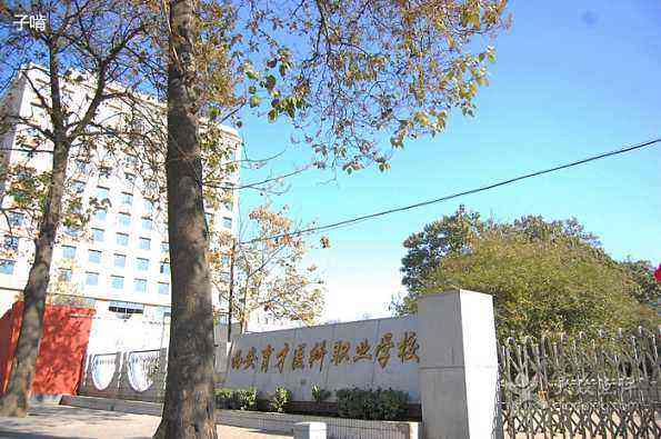西安育才醫(yī)科職業(yè)學(xué)校2020年有哪些專業(yè)