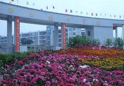  四川職業(yè)技術(shù)學(xué)院2020年單獨招生錄取分?jǐn)?shù)線