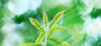  綿陽師范學院是民辦學校還是公辦學校？