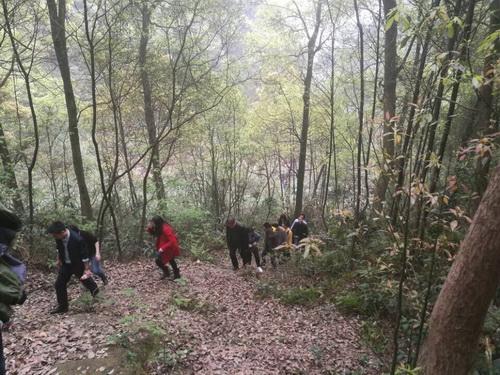 第十屆教職工登山活動圓滿落幕