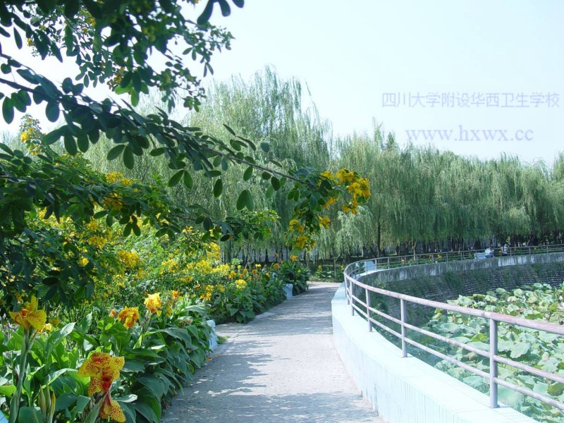 四川大學(xué)附設(shè)華西衛(wèi)生學(xué)校十陵校區(qū)招生辦聯(lián)系電話