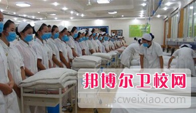 四川2020年衛(wèi)校理論包括什么
