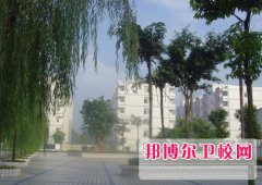 四川2024年衛(wèi)校大專錄取分數(shù)線