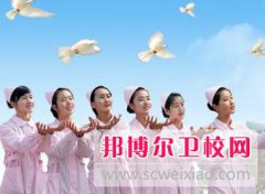 四川2024年衛(wèi)校中專學校排名