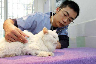 成都衛(wèi)生學(xué)校：高級(jí)護(hù)理人才眾單位爭(zhēng)搶