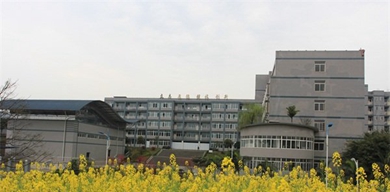 校園環(huán)境