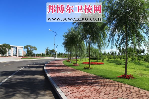 齊齊哈爾醫(yī)學(xué)院林蔭道