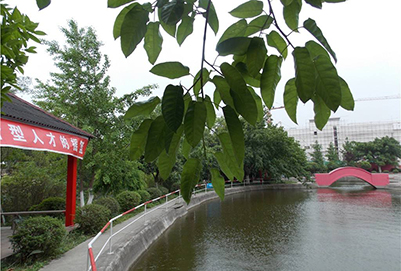 2020年綿陽(yáng)市職業(yè)技術(shù)學(xué)校招生辦聯(lián)系電話(huà)