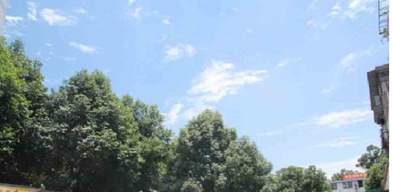 成都育華衛(wèi)校的收費標(biāo)準(zhǔn)是多少資助政策有哪些
