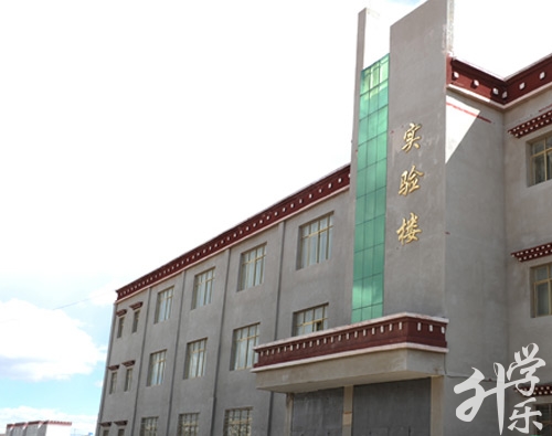 2020年西藏職校排名'