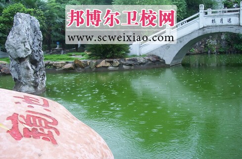 江西中醫(yī)藥高等?？茖W校鏡池
