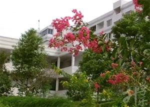 重慶市現(xiàn)代技工學(xué)校