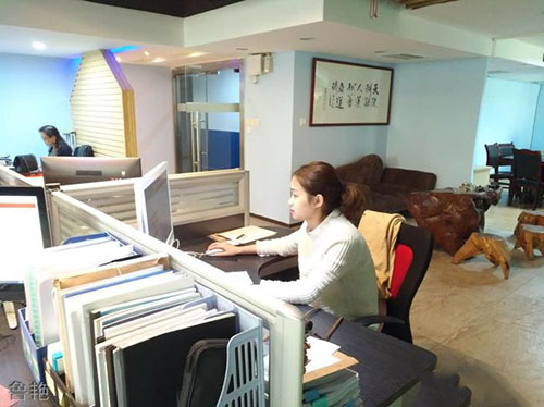 重慶能源職業(yè)學(xué)院魯艷