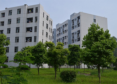 校園環(huán)境