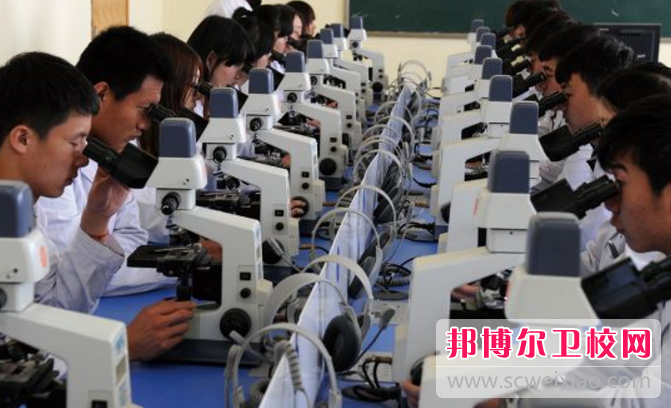 成都男生高中畢業(yè)讀衛(wèi)校好嗎
