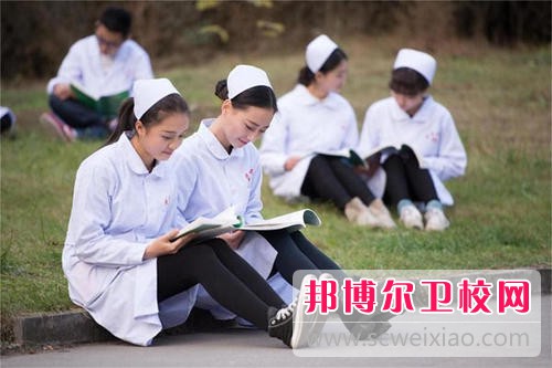 南充2020年衛(wèi)校多少錢