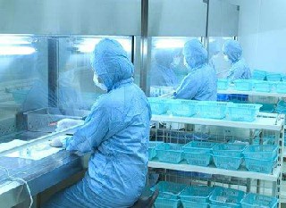 成都衛(wèi)生學校解析護理專業(yè)就業(yè)方向如何?