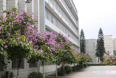 綿陽機電工程學(xué)校地址在哪里?
