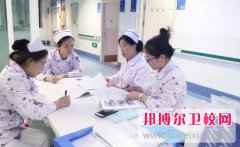寧波2024年中專衛(wèi)校升大專