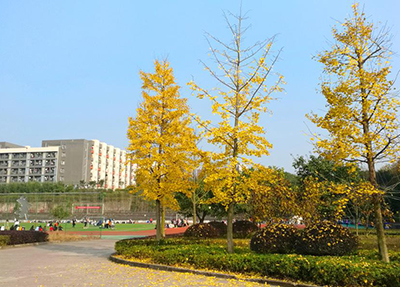 重慶醫(yī)藥高等?？茖W(xué)校