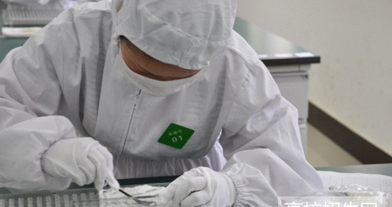  四川省藥劑專業(yè)怎么報名及報名方式