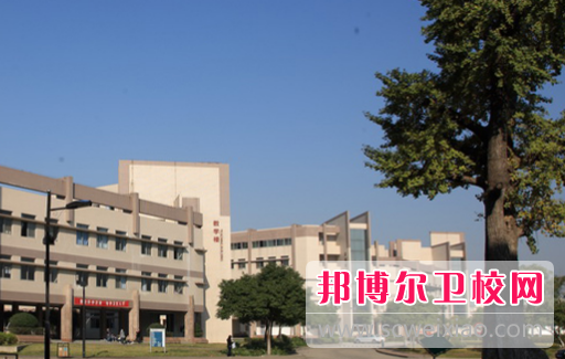 安徽2020年哪個(gè)高職院校的衛(wèi)校好