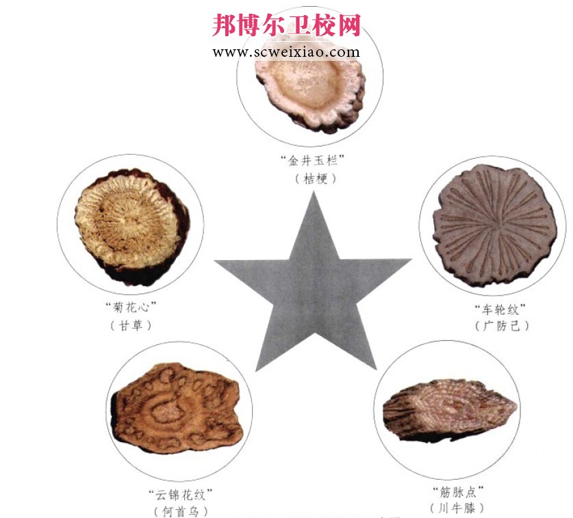 中藥附加術(shù)語(yǔ)有哪幾類