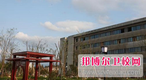 安徽2020年可以讀衛(wèi)校的大專學(xué)校